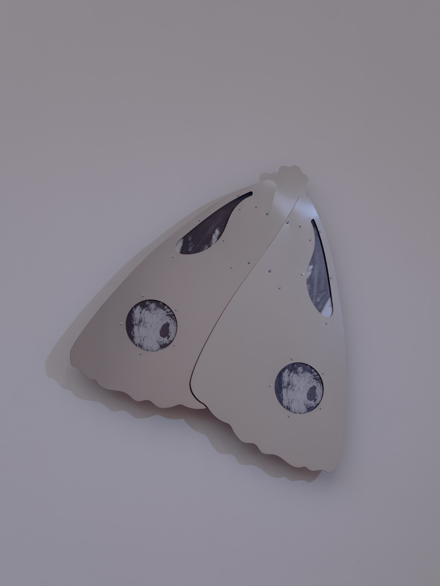 Anita Muçolli — « Navigating Estran- gement », Ausstellungsansicht / vue d’exposition / exhibition view Kunsthaus Biel Centre d’art Bienne 2026; Foto / photo: Lea Kunz