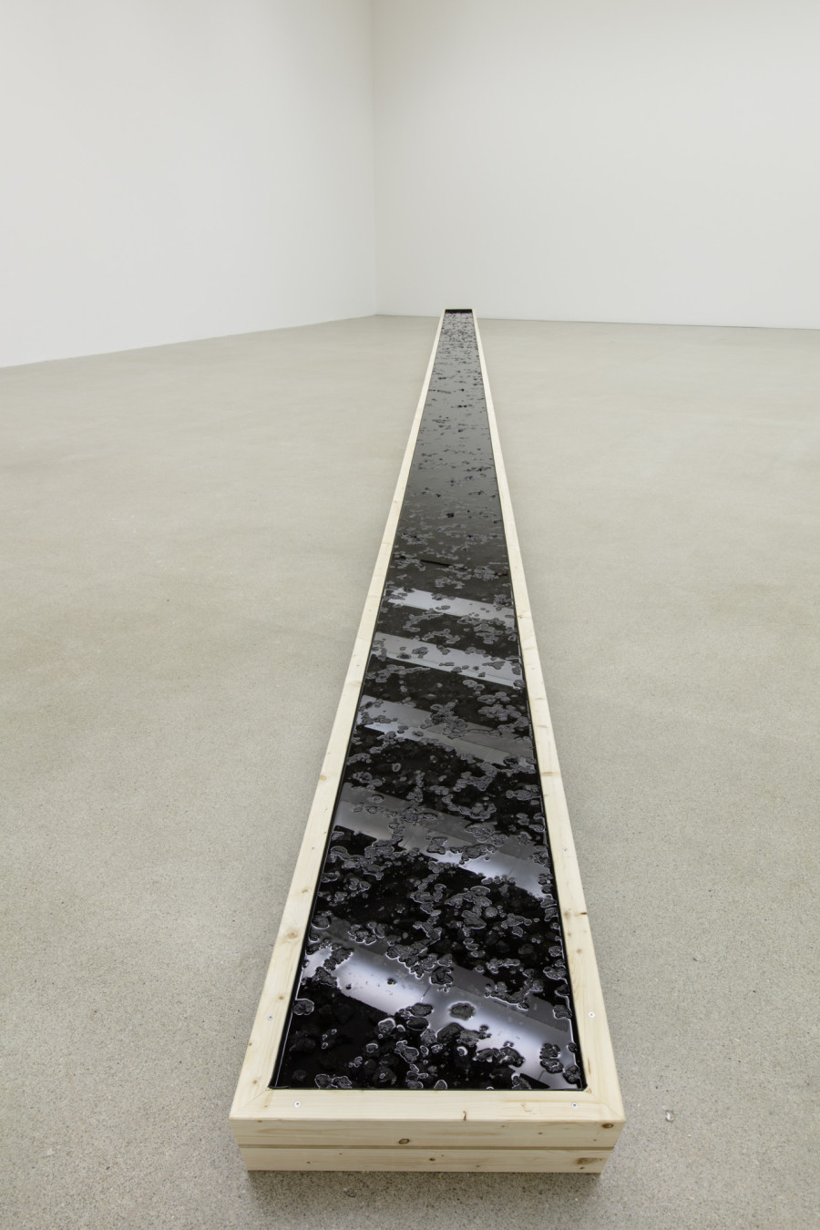 Miriam Sturzenegger, What Remains (Black Line), 2020, Steinkohlenkoks, Wasser, Salz, EPDM Gummimatte, Holz / Charbon à coke, eau, sel, tapis en caoutchouc EPDM, bois / Coal coke, water, salt, EPDM rubber mat, wood, Courtesy the artist