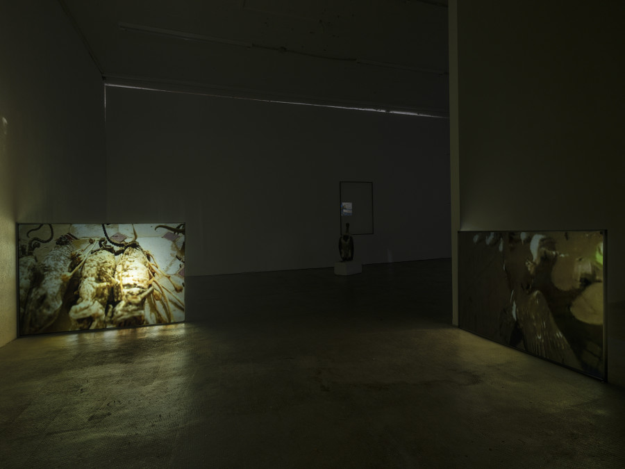 Installation view, Roman Selim Khereddine, Hard-Won Images 2, Tunnel Tunnel, 2022. Photo: Julien Gremaud