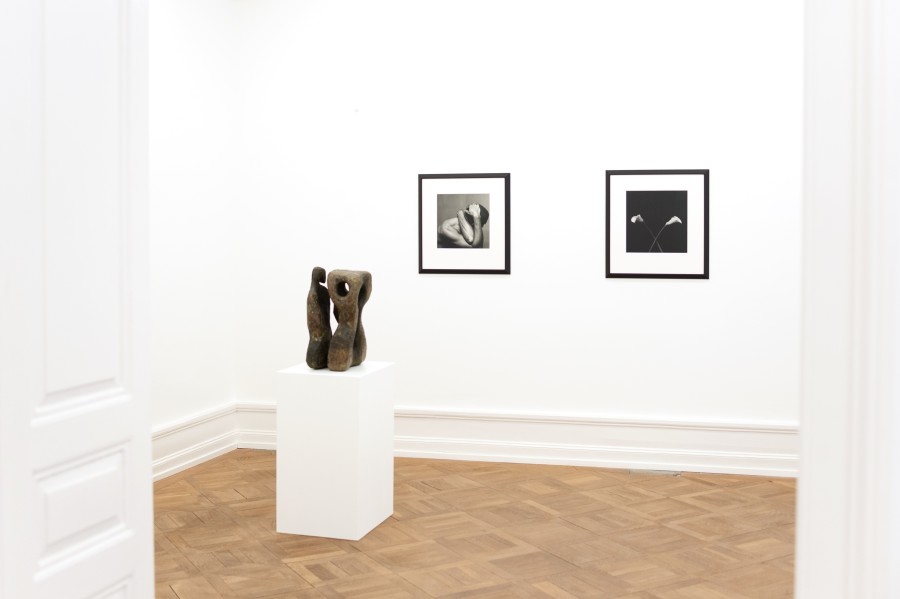 Robert Mapplethorpe and Sōfū Teshigahara: MAPPLETHORPE / TESHIGAHARA, Exhibition view, 2023, Mai 36 Galerie.