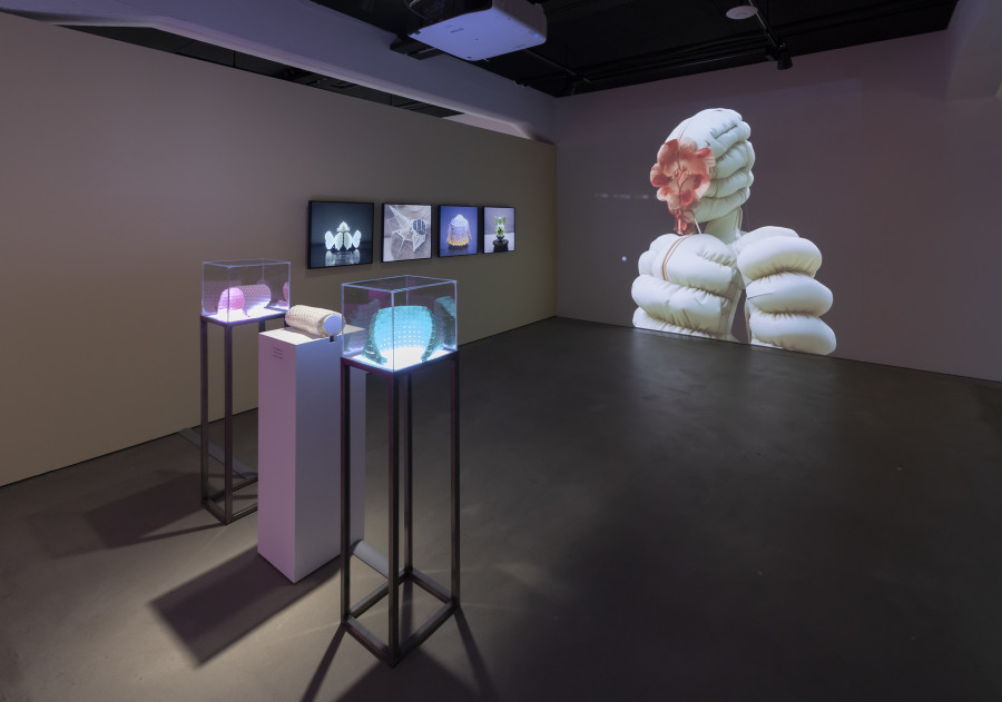 Sookyun Yang, Exotic Species in the Robot Ecosystem, 2023, «Other Intelligences», 2025, HEK, photo: Franz Wamhof
