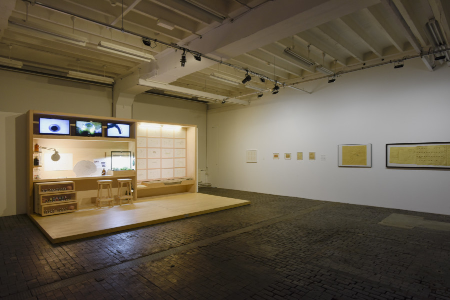 Exhibition view of Scrivere Disegnando. When Language Seeks Its Other at Centre d’Art Contemporain Genève (January 29-May 3, 2020). © Centre d’Art Contemporain Genève. Photo: Mathilda Olmi