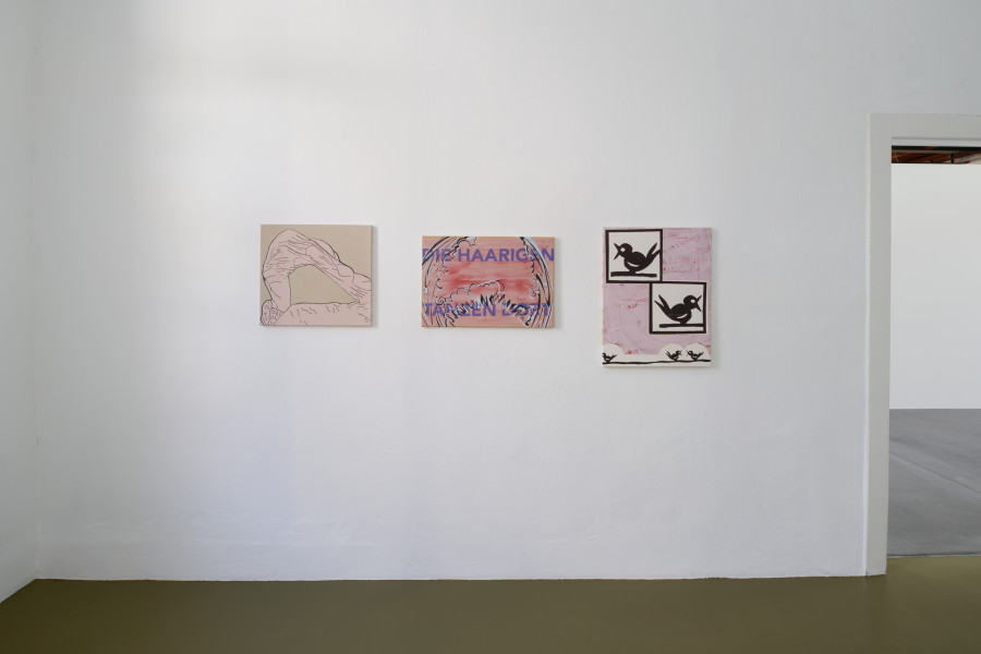 Exhibition view, Andreas Hochuli, The Year of the Babyshit Brown SUV, 2023. Photo : Guillaume Python. Courtesy of Kunsthalle Friart Fribourg and the artist