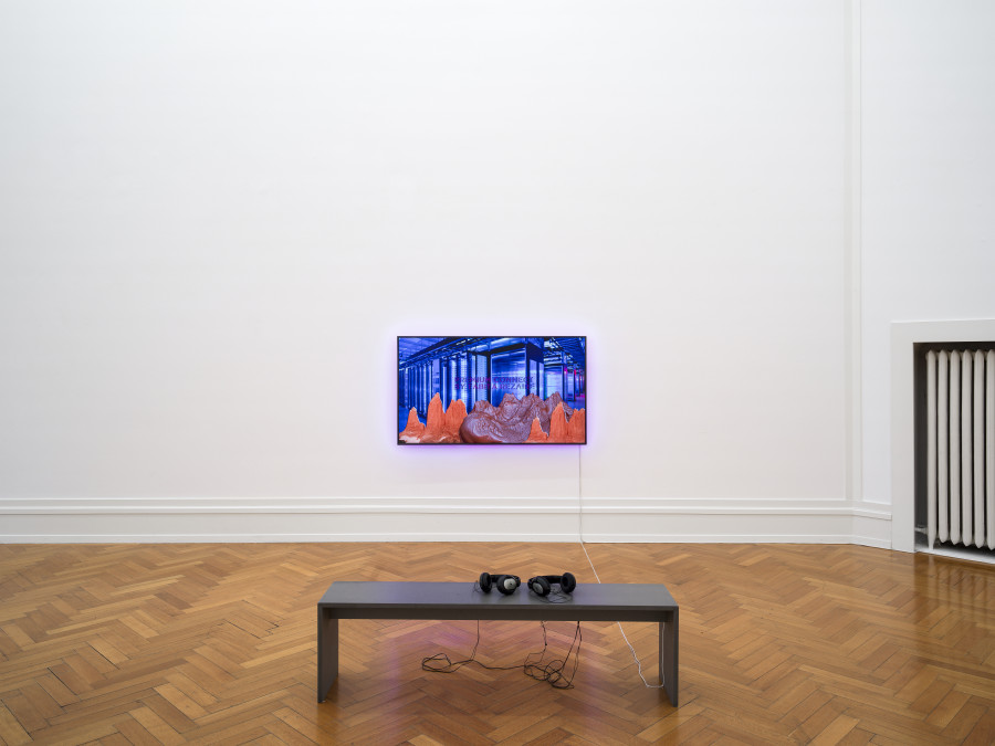 Tabita Rezaire, Premium Connect, 2017, HD Video, sound, 13’04’’. Courtesy the artist and Goodman Gallery, Johannesburg; photo: Cedric Mussano