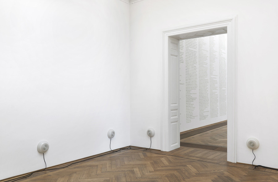 Iris Touliatou, Gift, Kunsthalle Basel, 2023, exhibition view, photo: Philipp Hänger / Kunsthalle Basel