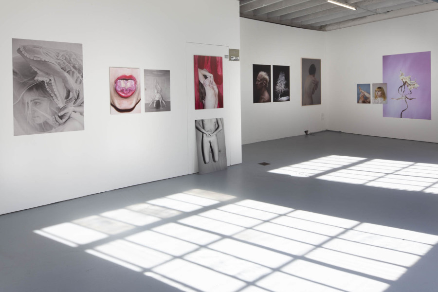 Lea Kunz: Naktakt, standard/deluxe, Installation view, 2022