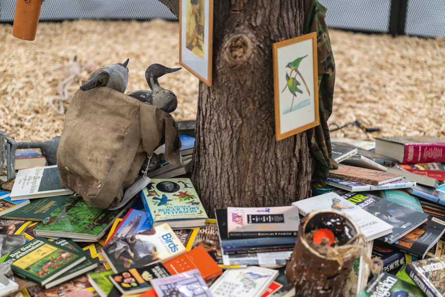 Mark Dion, The Library for the Birds of Zürich, 2016/2020, Detail, Sammlung Migros Museum für Gegenwartskunst, Foto: Lorenzo Pusterla